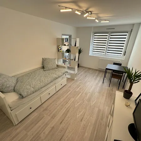 Calme A 15min Du Centre * Strasbourg