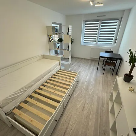 Calme A 15min Du Centre Strasbourg