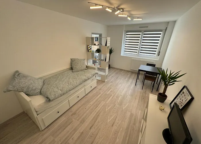 Calme A 15min Du Centre * 斯特拉斯堡