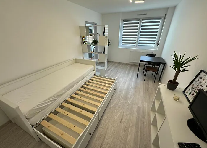 Calme A 15min Du Centre 斯特拉斯堡