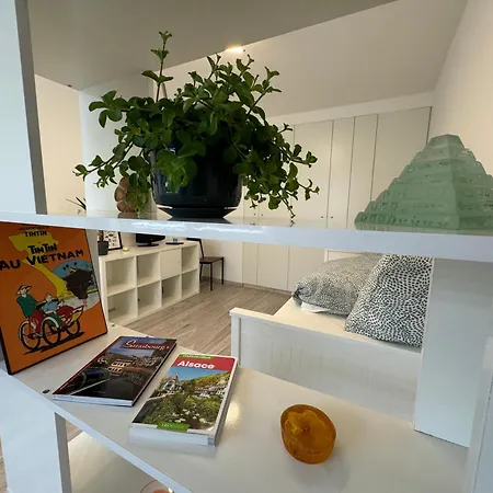 Calme A 15min Du Centre Στρασβούργο